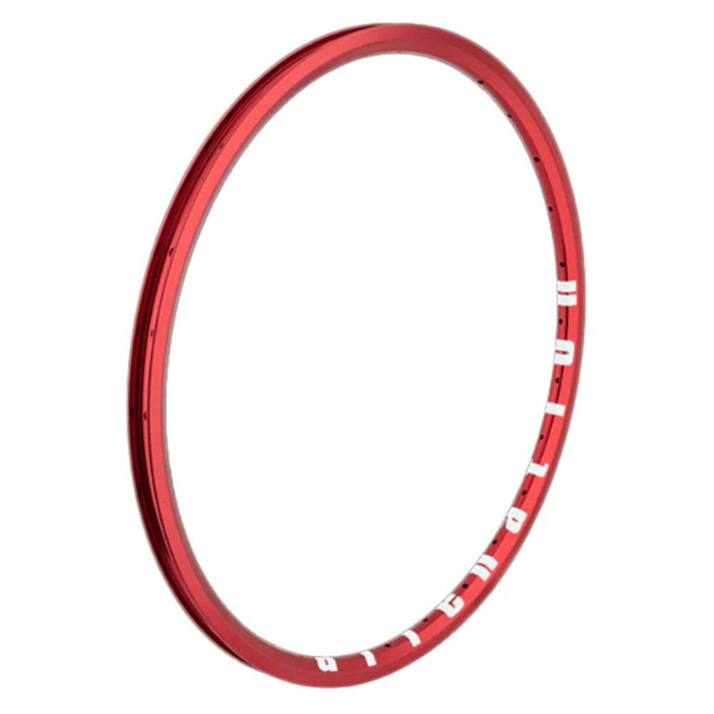 ALIENATION ANKLE BITER RIM - 20x1 1/8
